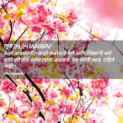Picture 02 - लूक 24:24 MARIRV - तेव्हा आमच्यातील - Bible Verse Picture