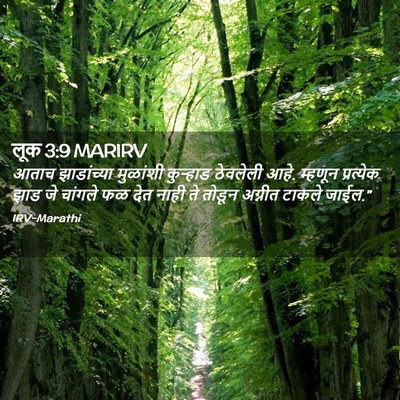 Picture 02 - लूक 3:9 MARIRV - आताच झाडांच्या - Bible Verse Picture