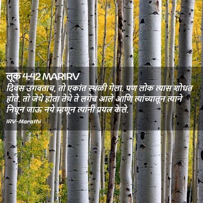 Picture 02 - लूक 4:42 MARIRV - दिवस उगवताच, तो - Bible Verse Picture