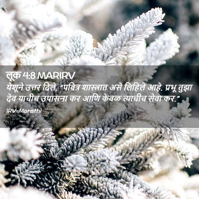 Picture 02 - लूक 4:8 MARIRV - येशूने उत्तर दिले, - Bible Verse Picture