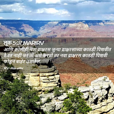 Picture 02 - लूक 5:37 MARIRV - आणि कोणीही नवा - Bible Verse Picture