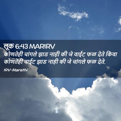 Picture 02 - लूक 6:43 MARIRV - कोणतेही चांगले - Bible Verse Picture