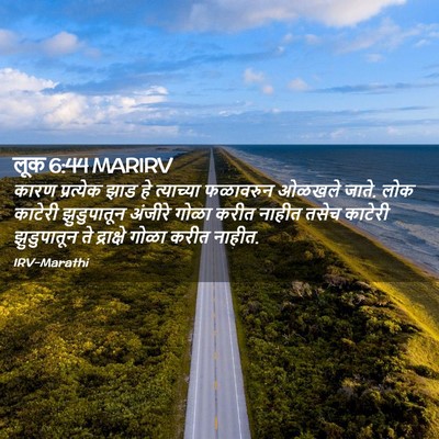 Picture 02 - लूक 6:44 MARIRV - कारण प्रत्येक झाड - Bible Verse Picture