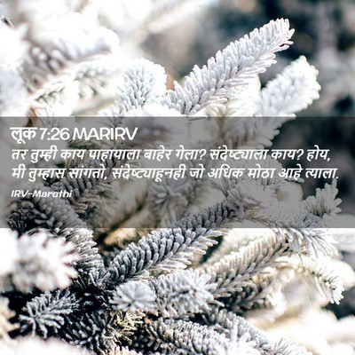 Picture 02 - लूक 7:26 MARIRV - तर तुम्ही काय - Bible Verse Picture
