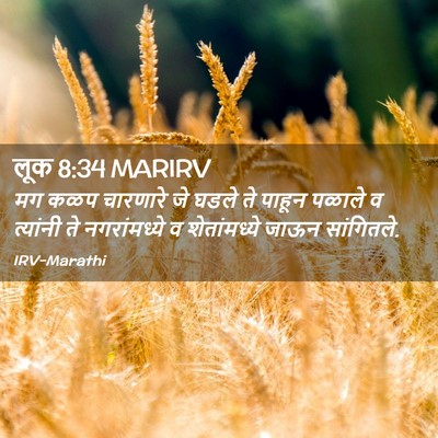 Picture 02 - लूक 8:34 MARIRV - मग कळप चारणारे जे - Bible Verse Picture