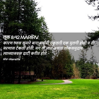 Picture 02 - लूक 8:42 MARIRV - कारण त्यास सुमारे - Bible Verse Picture