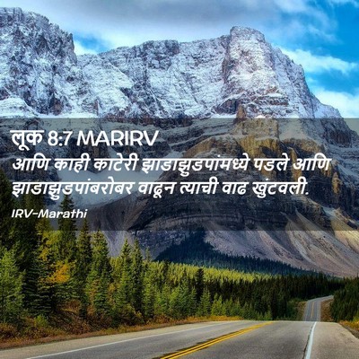 Picture 02 - लूक 8:7 MARIRV - आणि काही काटेरी - Bible Verse Picture