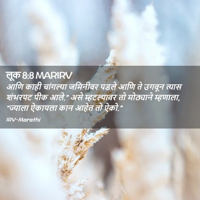 Picture 02 - लूक 8:8 MARIRV - आणि काही चांगल्या - Bible Verse Picture