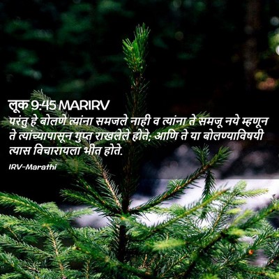 Picture 02 - लूक 9:45 MARIRV - परंतु हे बोलणे - Bible Verse Picture