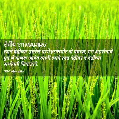 Picture 02 - लेवीय 1:11 MARIRV - त्याने वेदीच्या - Bible Verse Picture