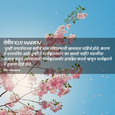 Picture 02 - लेवीय 10:17 MARIRV - “तुम्ही - Bible Verse Picture