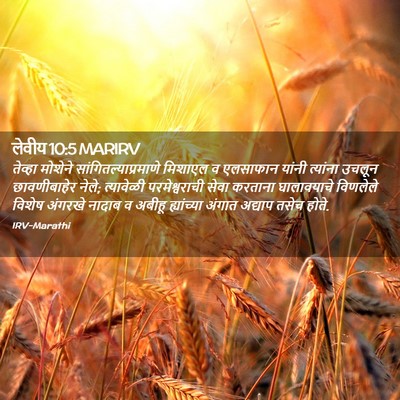 Picture 02 - लेवीय 10:5 MARIRV - तेव्हा मोशेने - Bible Verse Picture