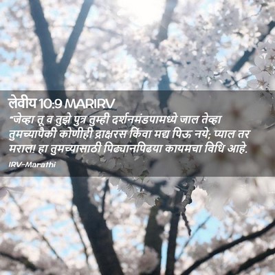 Picture 02 - लेवीय 10:9 MARIRV - “जेव्हा तू व तुझे - Bible Verse Picture