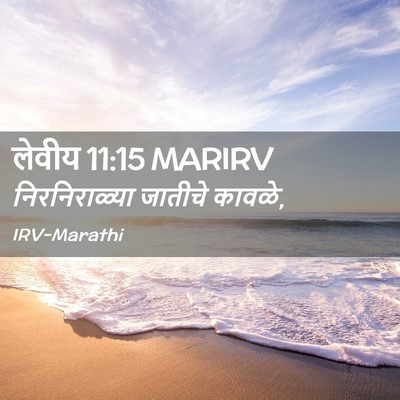Picture 02 - लेवीय 11:15 MARIRV - निरनिराळ्या - Bible Verse Picture