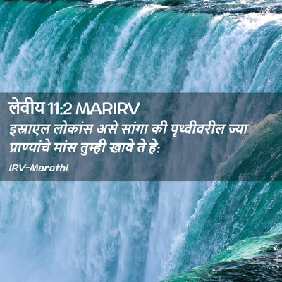 Picture 02 - लेवीय 11:2 MARIRV - इस्राएल लोकांस - Bible Verse Picture