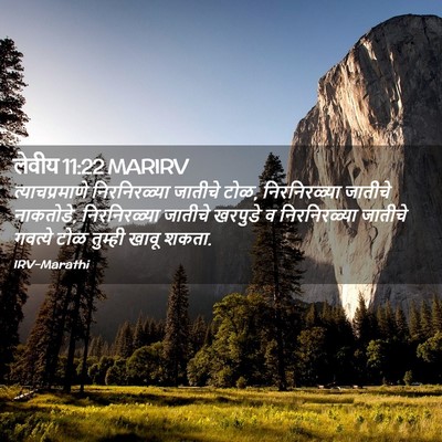 Picture 02 - लेवीय 11:22 MARIRV - त्याचप्रमाणे - Bible Verse Picture