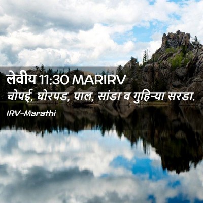 Picture 02 - लेवीय 11:30 MARIRV - चोपई, घोरपड, पाल, - Bible Verse Picture