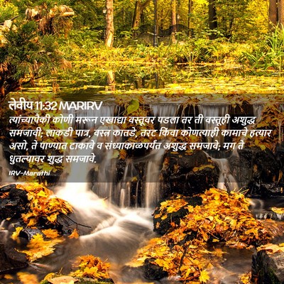 Picture 02 - लेवीय 11:32 MARIRV - त्यांच्यापैकी - Bible Verse Picture