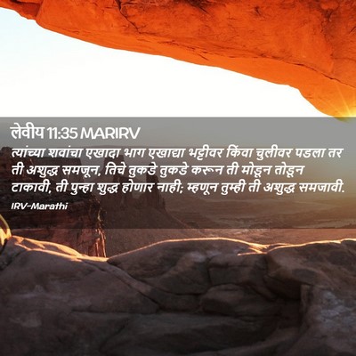 Picture 02 - लेवीय 11:35 MARIRV - त्यांच्या शवांचा - Bible Verse Picture