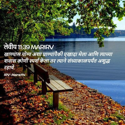 Picture 02 - लेवीय 11:39 MARIRV - खाण्यास योग्य अशा - Bible Verse Picture