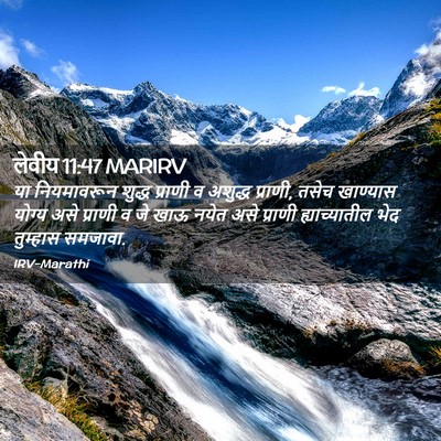 Picture 02 - लेवीय 11:47 MARIRV - या नियमावरून - Bible Verse Picture