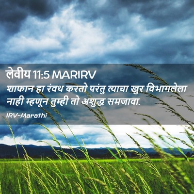 Picture 02 - लेवीय 11:5 MARIRV - शाफान हा रंवथ करतो - Bible Verse Picture