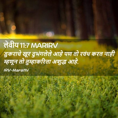 Picture 02 - लेवीय 11:7 MARIRV - डुकराचे खूर - Bible Verse Picture