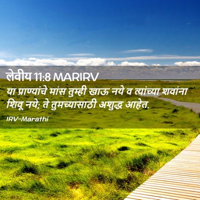 Picture 02 - लेवीय 11:8 MARIRV - या प्राण्यांचे - Bible Verse Picture
