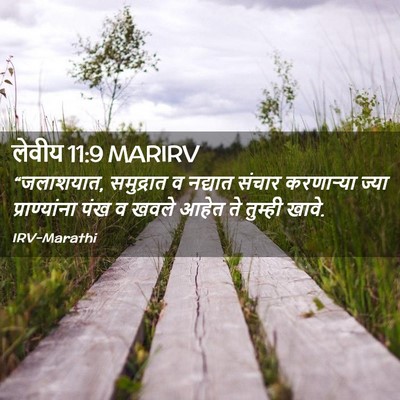 Picture 02 - लेवीय 11:9 MARIRV - “जलाशयात, - Bible Verse Picture