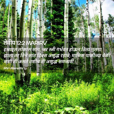Picture 02 - लेवीय 12:2 MARIRV - इस्राएल लोकांस - Bible Verse Picture