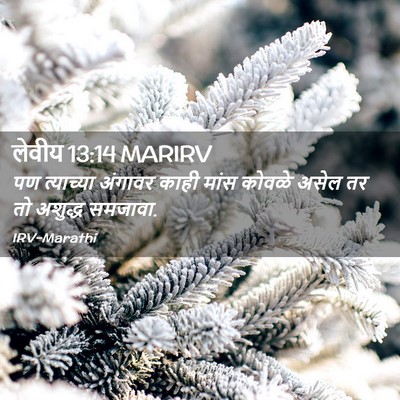 Picture 02 - लेवीय 13:14 MARIRV - पण त्याच्या - Bible Verse Picture