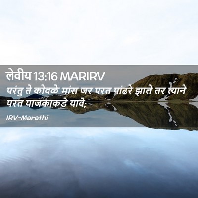 Picture 02 - लेवीय 13:16 MARIRV - परंतु ते कोवळे - Bible Verse Picture
