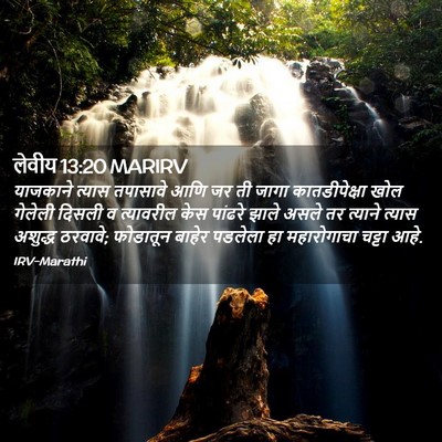Picture 02 - लेवीय 13:20 MARIRV - याजकाने त्यास - Bible Verse Picture