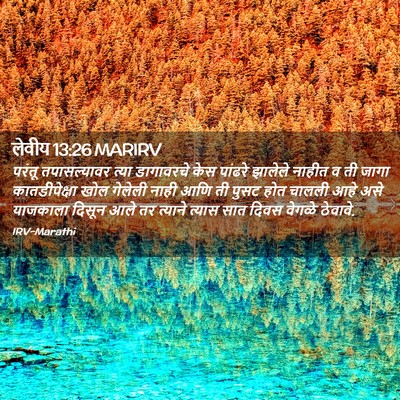 Picture 02 - लेवीय 13:26 MARIRV - परंतू तपासल्यावर - Bible Verse Picture