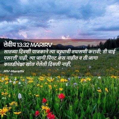 Picture 02 - लेवीय 13:32 MARIRV - सातव्या दिवशी - Bible Verse Picture
