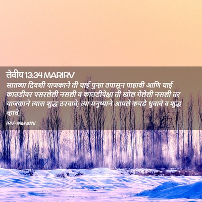 Picture 02 - लेवीय 13:34 MARIRV - सातव्या दिवशी - Bible Verse Picture