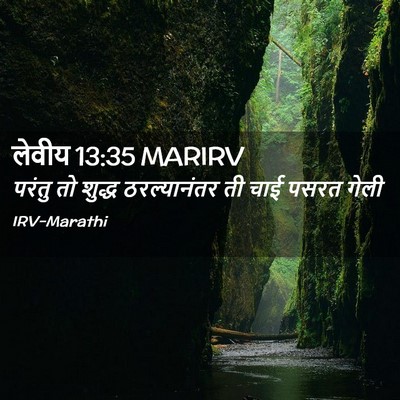 Picture 02 - लेवीय 13:35 MARIRV - परंतु तो शुद्ध - Bible Verse Picture