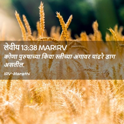 Picture 02 - लेवीय 13:38 MARIRV - कोणा पुरुषाच्या - Bible Verse Picture