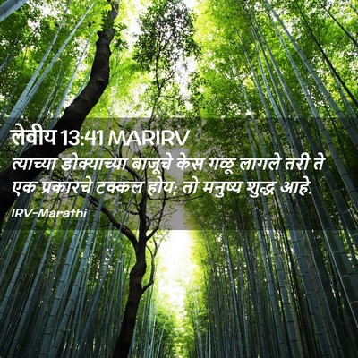 Picture 02 - लेवीय 13:41 MARIRV - त्याच्या - Bible Verse Picture