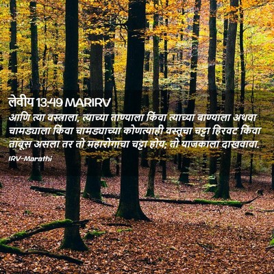 Picture 02 - लेवीय 13:49 MARIRV - आणि त्या - Bible Verse Picture