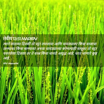 Picture 02 - लेवीय 13:51 MARIRV - त्याने सातव्या - Bible Verse Picture