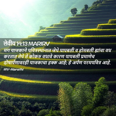 Picture 02 - लेवीय 14:13 MARIRV - मग याजकाने - Bible Verse Picture