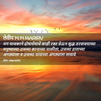 Picture 02 - लेवीय 14:14 MARIRV - मग याजकाने - Bible Verse Picture