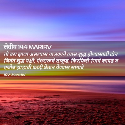 Picture 02 - लेवीय 14:4 MARIRV - तो बरा झाला - Bible Verse Picture
