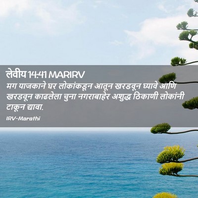 Picture 02 - लेवीय 14:41 MARIRV - मग याजकाने घर - Bible Verse Picture