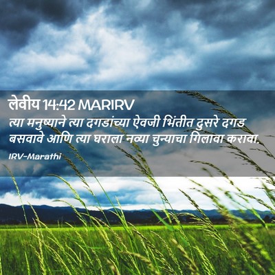 Picture 02 - लेवीय 14:42 MARIRV - त्या मनुष्याने - Bible Verse Picture