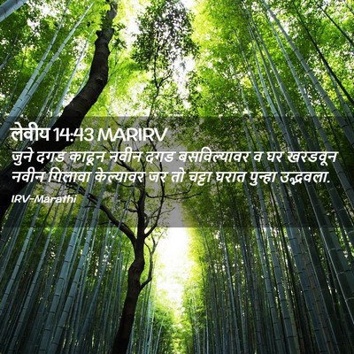 Picture 02 - लेवीय 14:43 MARIRV - जुने दगड काढून - Bible Verse Picture