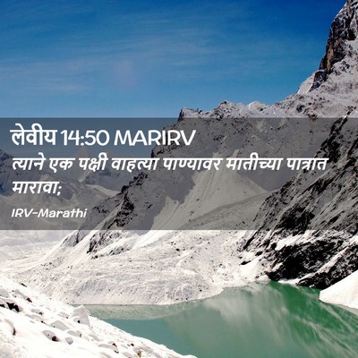 Picture 02 - लेवीय 14:50 MARIRV - त्याने एक पक्षी - Bible Verse Picture