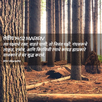 Picture 02 - लेवीय 14:52 MARIRV - त्या पक्ष्याचे - Bible Verse Picture