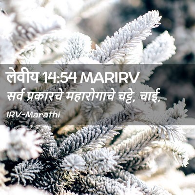 Picture 02 - लेवीय 14:54 MARIRV - सर्व प्रकारचे - Bible Verse Picture